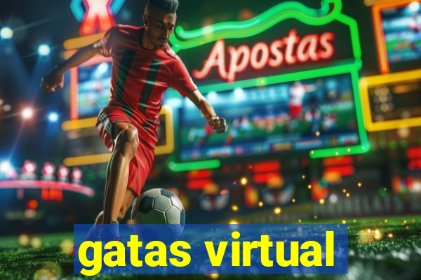 gatas virtual